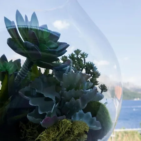 アパート Marina コルチュラ