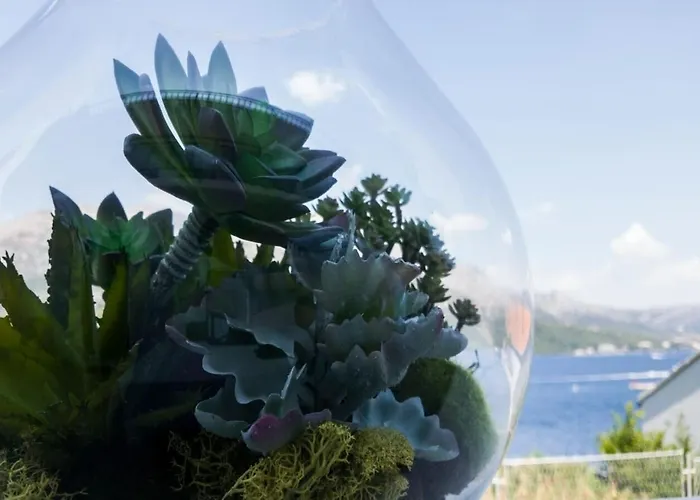 Apartman Marina Korčula